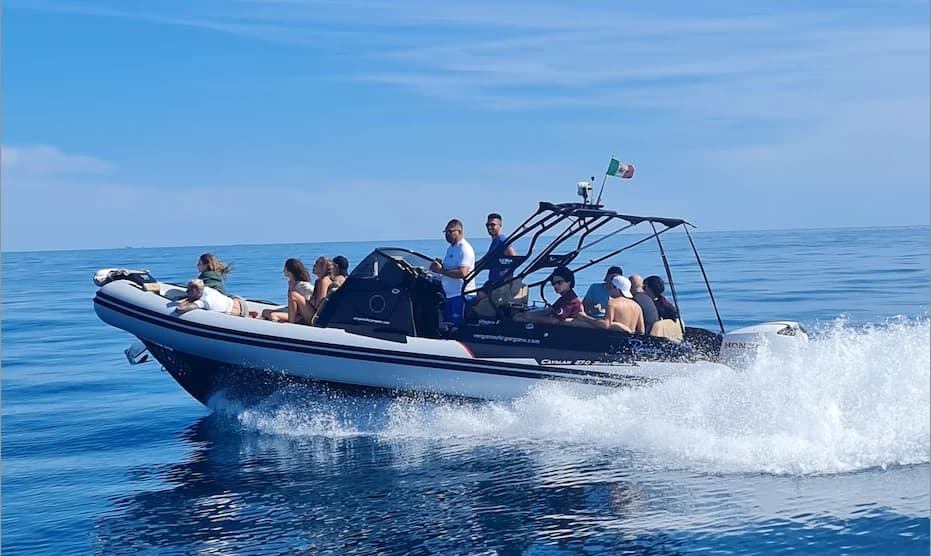 Tour giornalieri