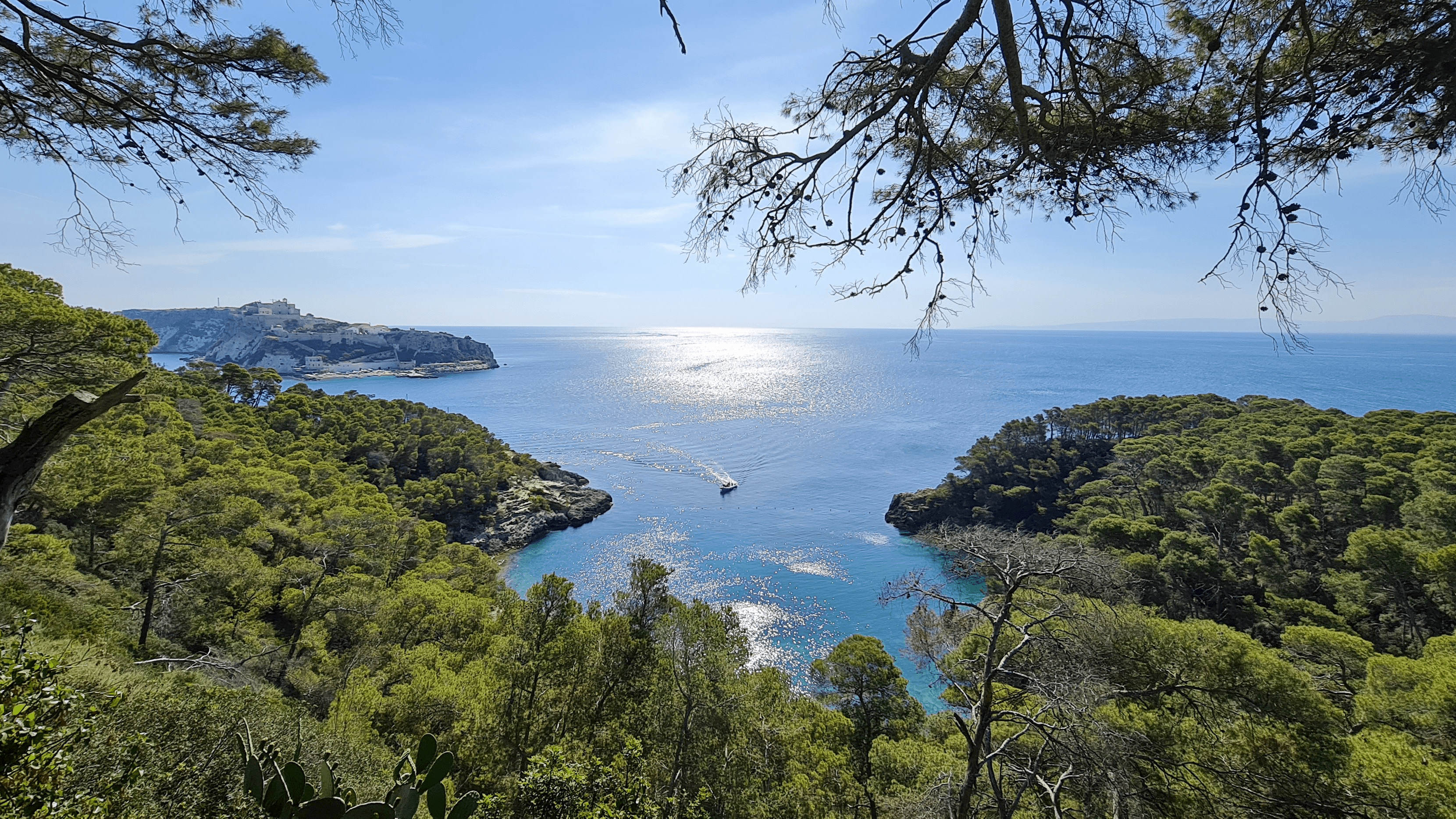 Vista dall'alto, San Domino